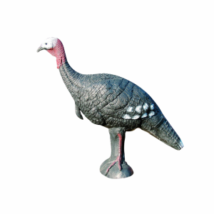 Cel łuczniczy 3D Eleven Turkey