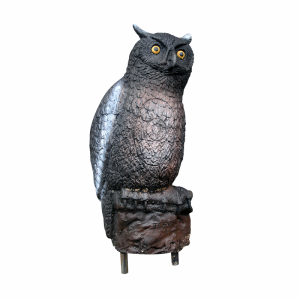 Cel łuczniczy 3D Eleven Owl