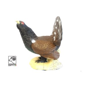Cel łuczniczy 3D SRT GŁUSZEC