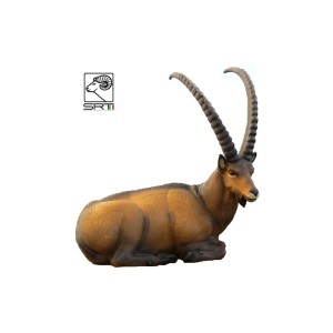 Cel 3D SRT Leżący KOZIOROŻEC